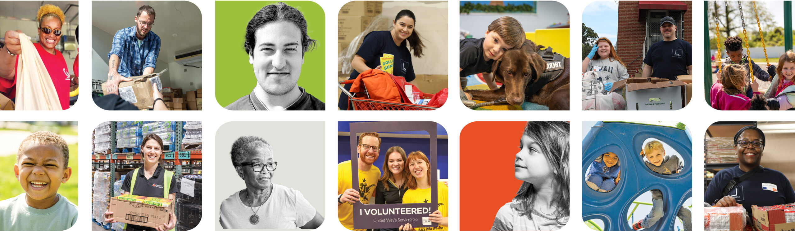 A vibrant collage showcases diverse individuals engaging in community service activities, such as packing food, interacting with children and animals, and smiling volunteers displaying signs of their involvement. Discover volunteer opportunities in your community.